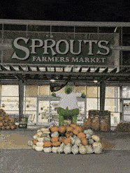 A green hay Phanatic figure in a pinstripe shirt outside the South Broad Sprouts