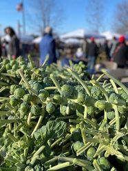 A close-up of Brussels sprouts still on their stalks at a market table, with shoppers and white tents blurred behind.