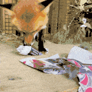 A red fox chews crumpled wrapping paper and then sprawls out on the pile. Animated.