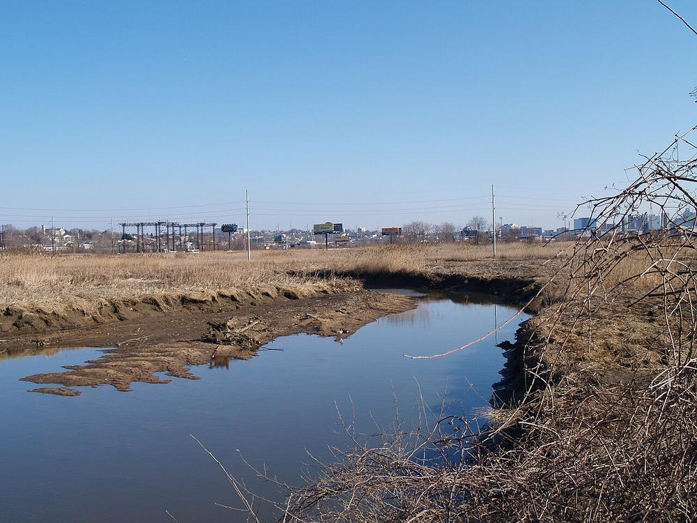 Little Mill Creek winding through brown winter marsh grass under a blue sky