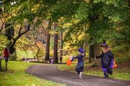 Two kids in witch costumes carrying treat buckets along a garden path under fall trees
