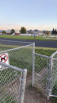 A chain-link gate with a no dogs allowed sign in front, and a person walking a dog on the track behind it