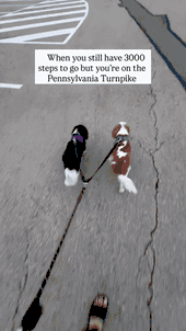 Turnpike walking trail