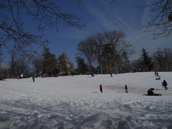 A snowy Burholme Park hill with the Ryerss mansion at the top
