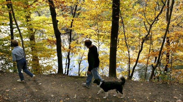 Walkers and a dog on a Pennypack Park trail in fall color