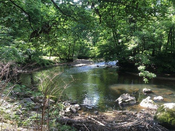 Pennypack Creek seen from the Pennypack Trail in summer
