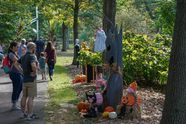 Visitors walking a path past scarecrows and pumpkins at Morris Arboretum in a past year